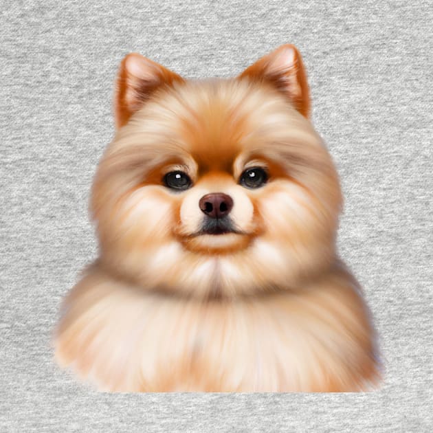 Cute Pomeranian Drawing by Play Zoo